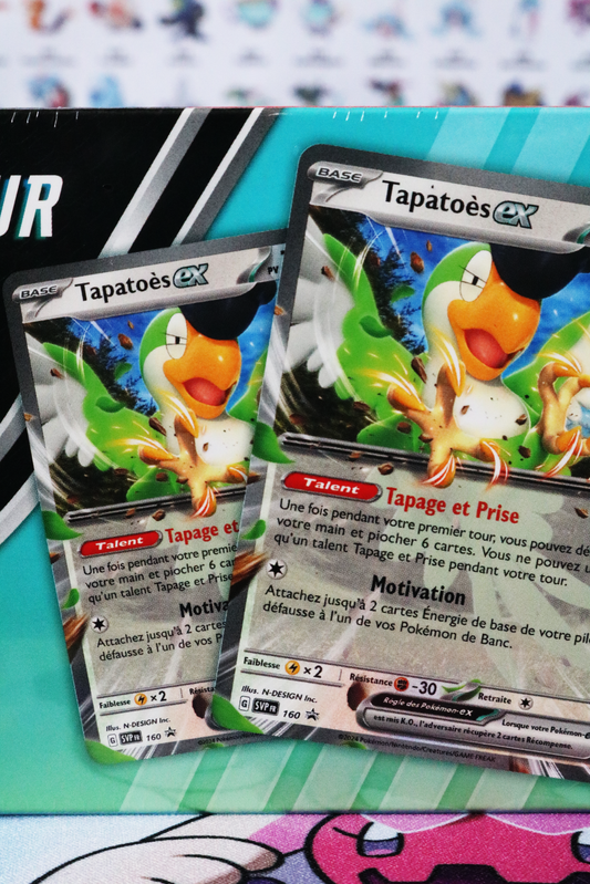 JCC Pokémon : Nécessaire du Dresseur – Automne 2024